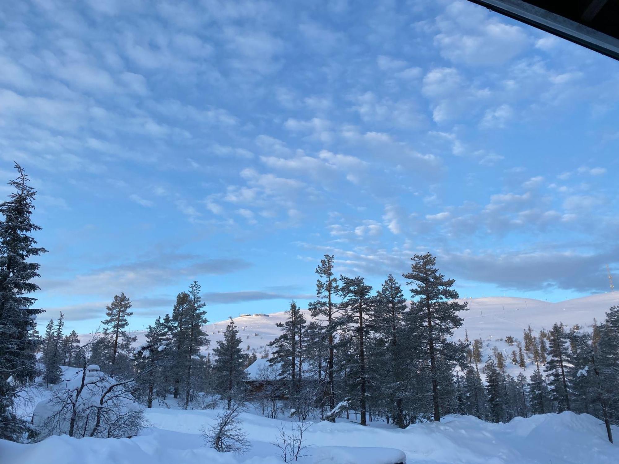 Sky Hovi *